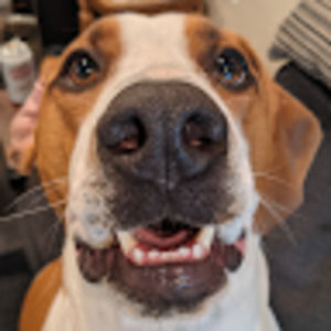 Meet your Posher, Josiah